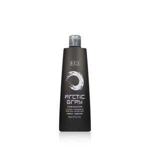 BES Color Reflection Shampoo Artic Grey 300ml - Šampón na prípravu studeného tónovania