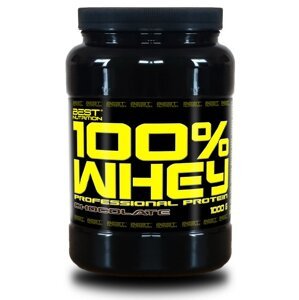 Best Nutrition 100% Whey Professional Protein čokoláda 1000g