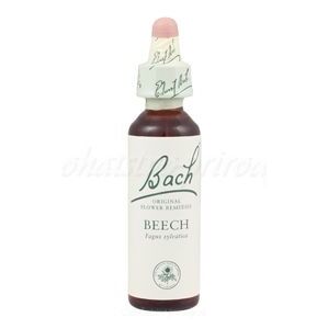 Beech - Buk lesný - bachove kvapky
