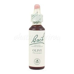 Olive - Oliva 20 ml - bachove kvapky